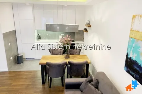 Rent, two bedroom apartment, 45m², Retenzija, Beograd - image 9
