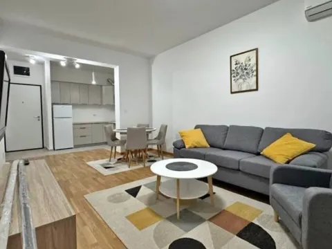 Rent, one bedroom apartment, 46m², Stari Aerodrom, Podgorica - image 1