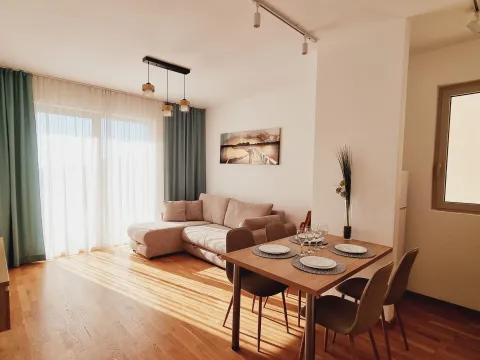 Rent, one bedroom apartment, 45m², Bečići, Budva - image 11