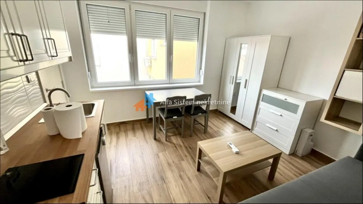 Izdavanje, jednosoban stan, 20m², Vračar Sve Podlokacije, Beograd