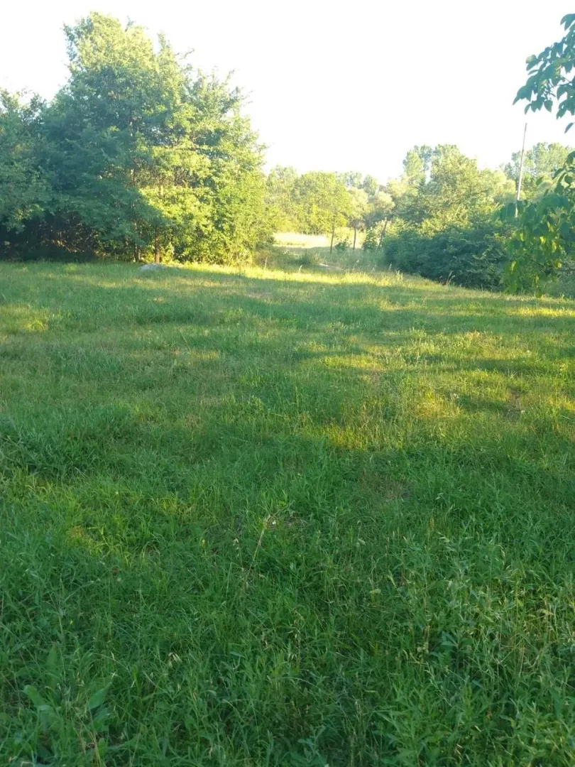 Prostrana zelena livada okružena drvećem.