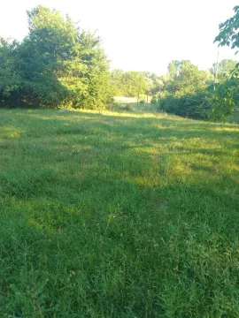 Prostrana zelena livada okružena drvećem. - image 3