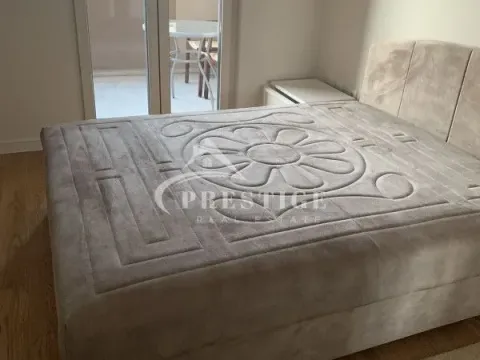 Izdavanje, jednosoban stan, 49m², Central Point, Podgorica - image 6