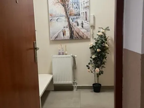 Prodaja, četvorosoban stan, 124m², Grbavica, Novi Sad Sve Podlokacije - image 22