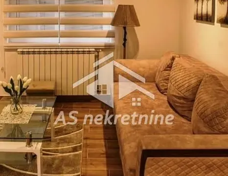 Izdavanje, stan, 74m², Južni Bulevar, Vračar Sve Podlokacije - image 3