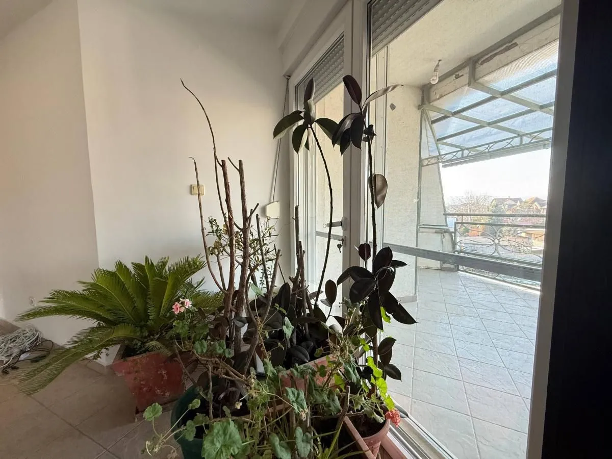 Sale, house, 473m², Veternička rampa, Novi Sad Sve Podlokacije