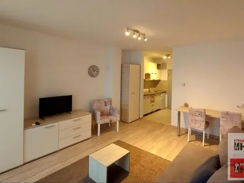 Izdavanje, garsonjera, 26m², Podbara, Novi Sad Sve Podlokacije - image 2