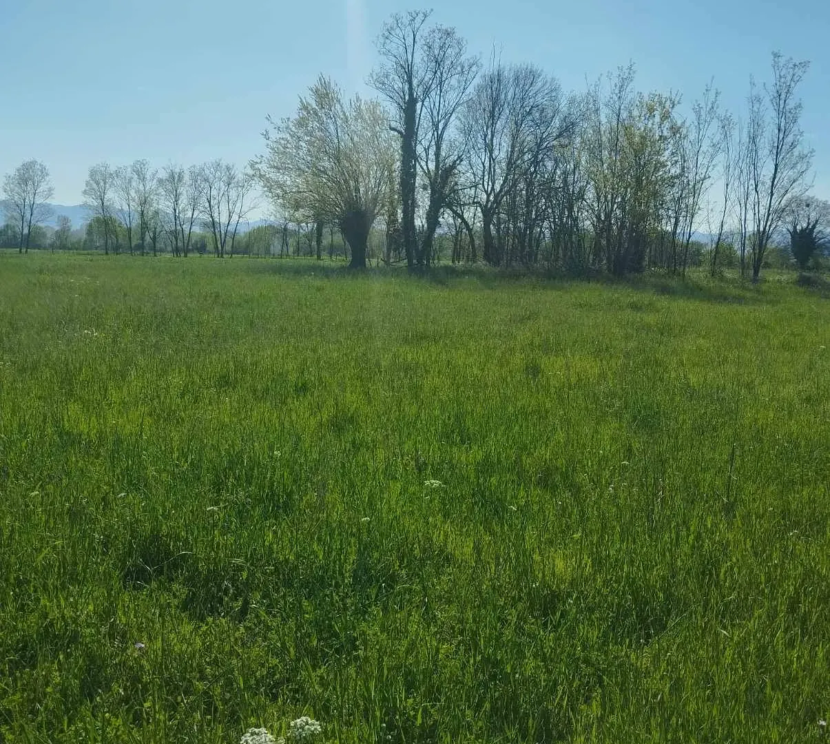 Prodaja, plac, 12m², Podgorica, Crna Gora