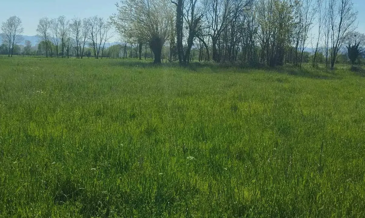 Sale, land lot, 12m², Podgorica, Crna Gora
