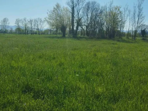 Prodaja, plac, 12m², Podgorica, Crna Gora - image 2