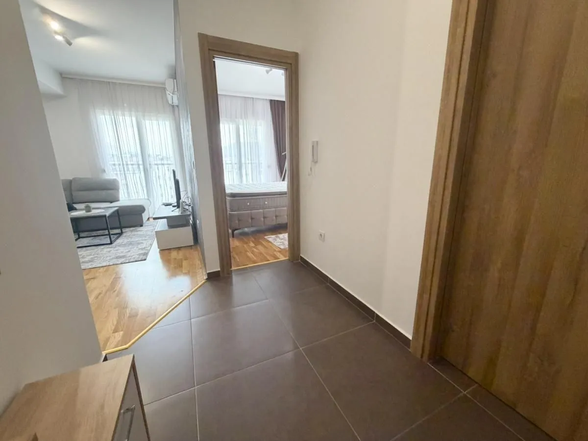 Izdavanje, jednosoban stan, 40m², Stari Aerodrom, Podgorica