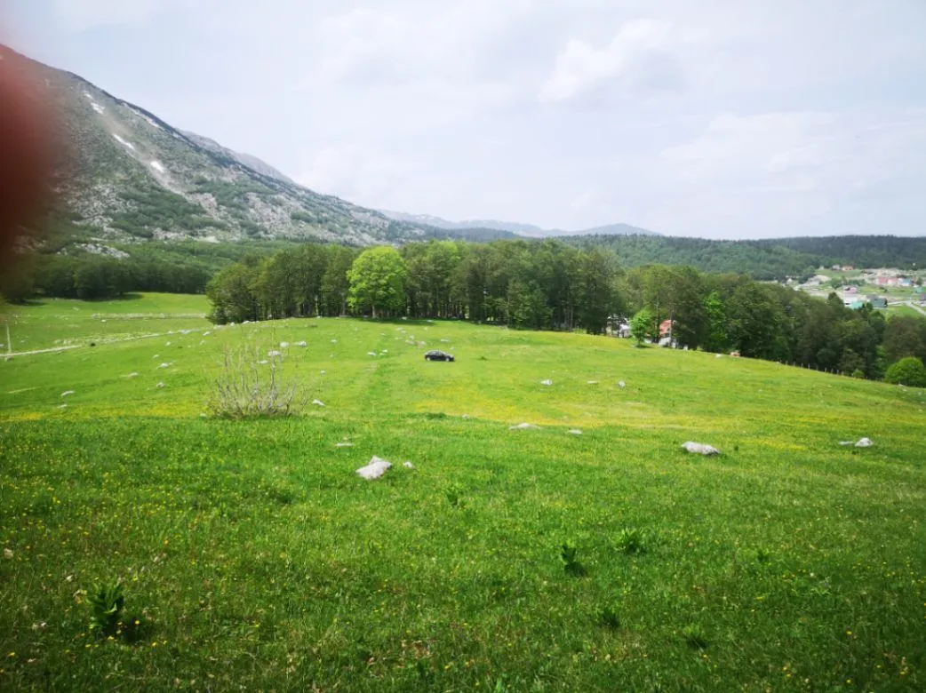 Prodaja, plac, 1708m², Pošćenski Kraj, Žabljak