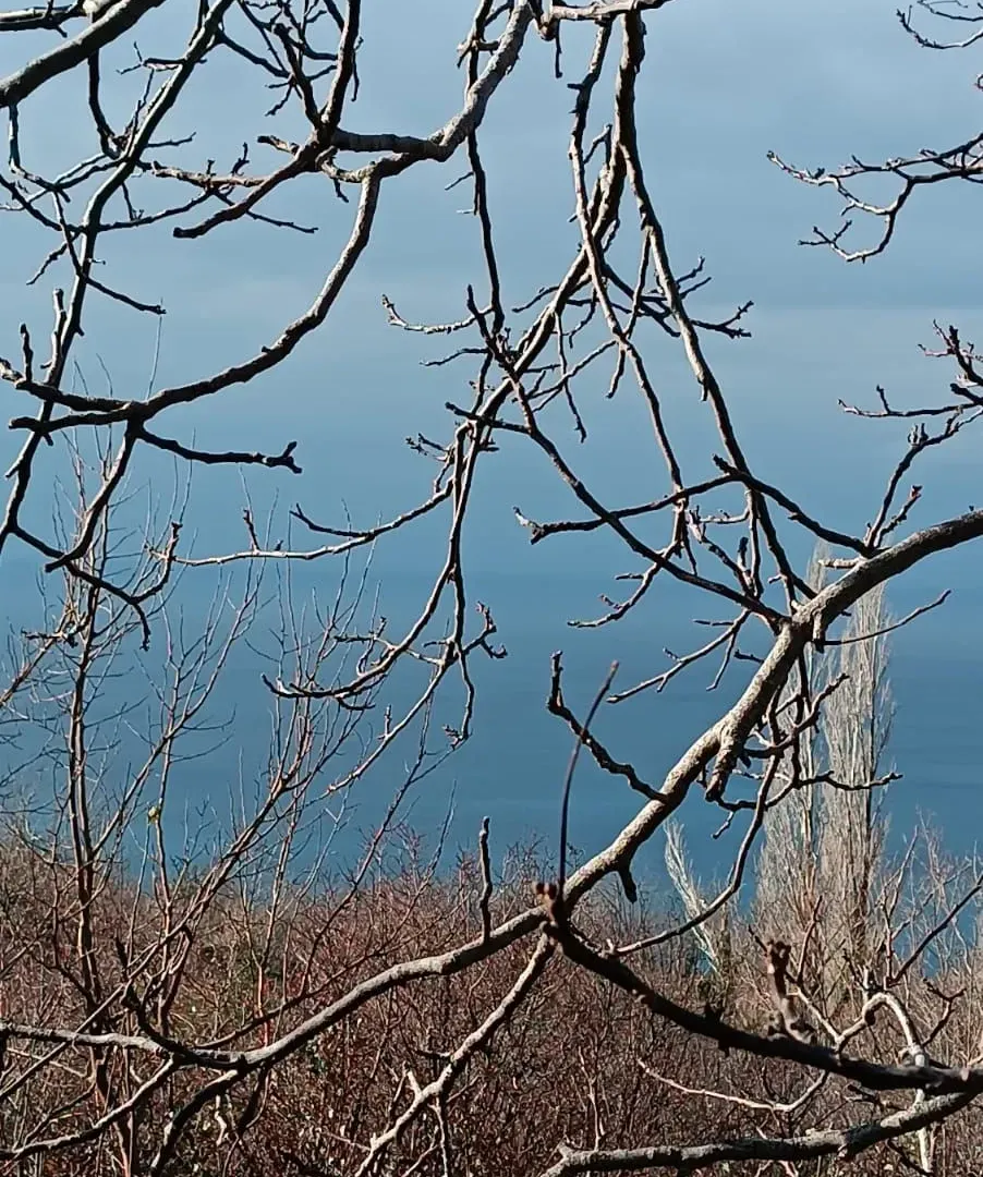 Sale, land lot, 520m², Blizikuće, Budva