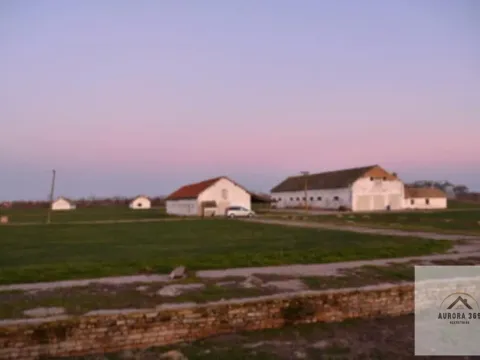 Prodaja, plac, 97900m², Vrbas, Novi Sad - image 4