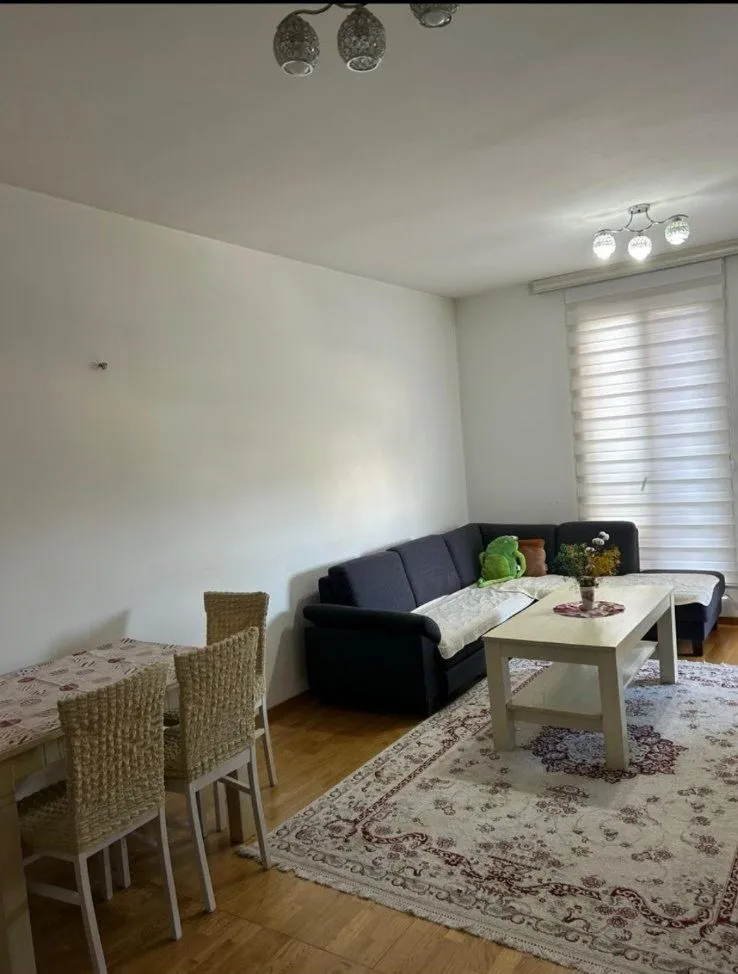 Rent, one bedroom apartment, 48m², Stari Aerodrom, Podgorica