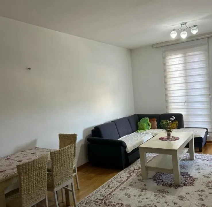 Rent, one bedroom apartment, 48m², Stari Aerodrom, Podgorica