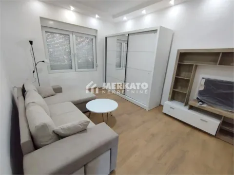 Izdavanje, jednosoban stan, 35m², Dolja, Zrenjanin - image 1