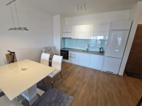 Sale, one bedroom apartment, 50m², Rozino, Budva - image 4