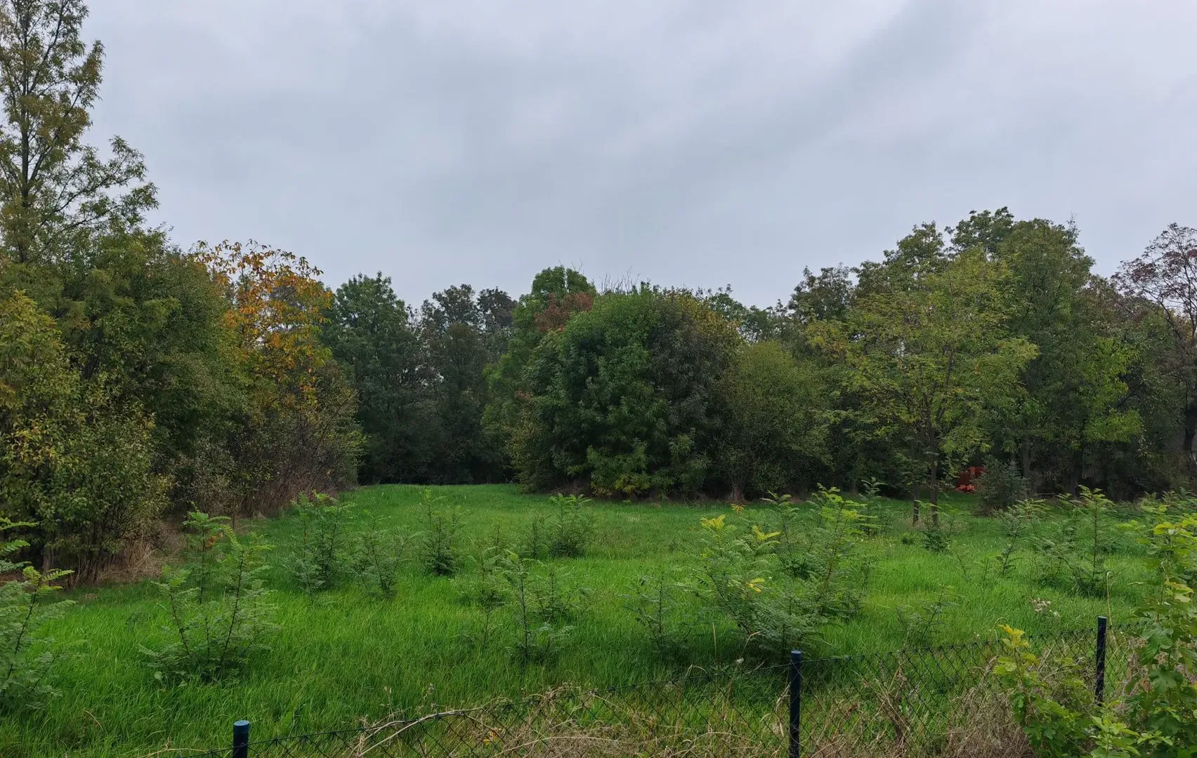 Sale, land lot, 33900m², Velika Ivanča, Mladenovac