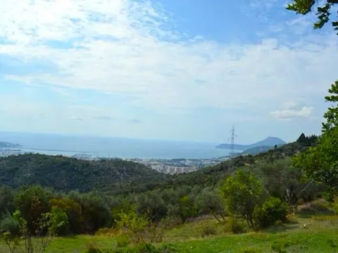 Prodaja, plac, 3000m², Velembusi, Bar - image 1