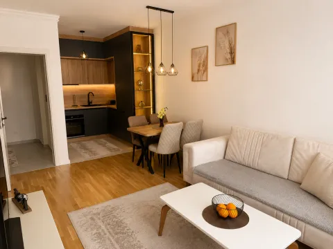 Rent, one bedroom apartment, 45m², Stari Aerodrom, Podgorica - image 5