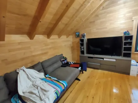 Prodaja, kuća, 151m², Sremska Kamenica, Petrovaradin - image 39