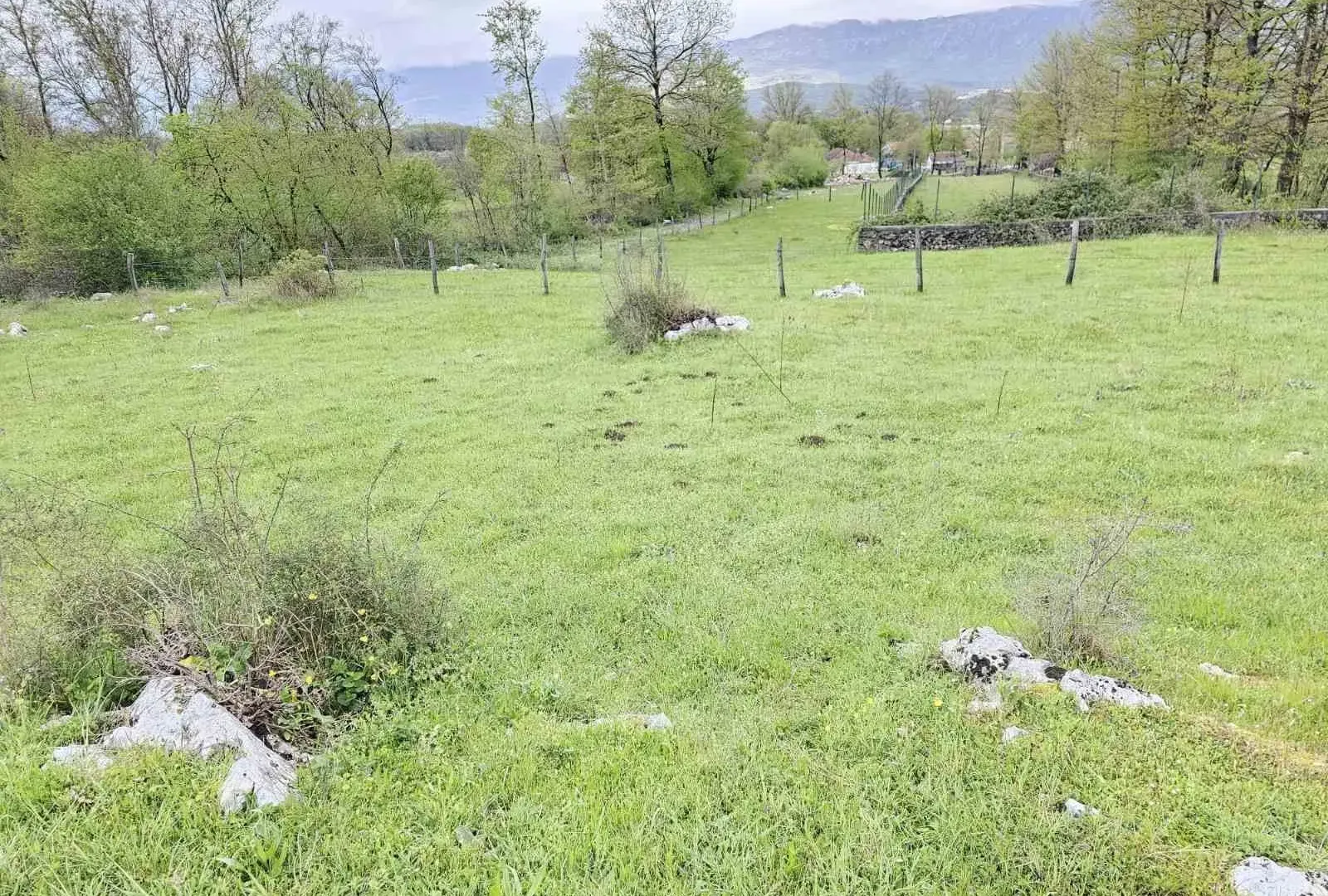 Prodaja, plac, 2993m², Danilovgrad, Crna Gora