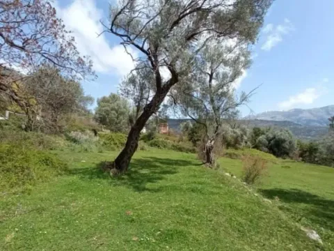 Prodaja, plac, 4216m², Mrčevac, Tivat - image 4