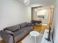 Izdavanje, jednosoban stan, 43m², Central Point, Podgorica - image 1