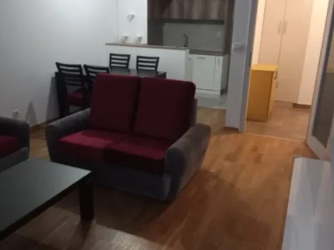 Izdavanje, jednosoban stan, 55m², Ljubović, Podgorica - image 3