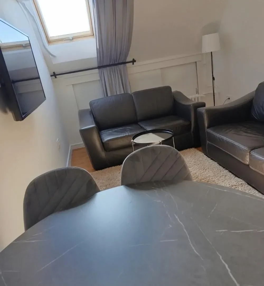 Izdavanje, jednosoban stan, 38m², Retenzija, Beograd