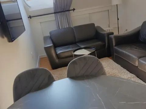 Izdavanje, jednosoban stan, 38m², Retenzija, Beograd - image 3