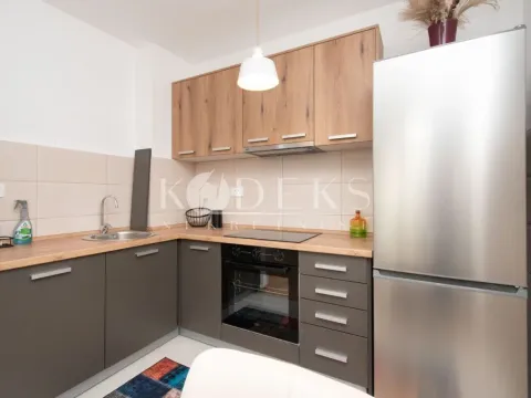 Rent, one bedroom apartment, 40m², Stari Aerodrom, Podgorica - image 5