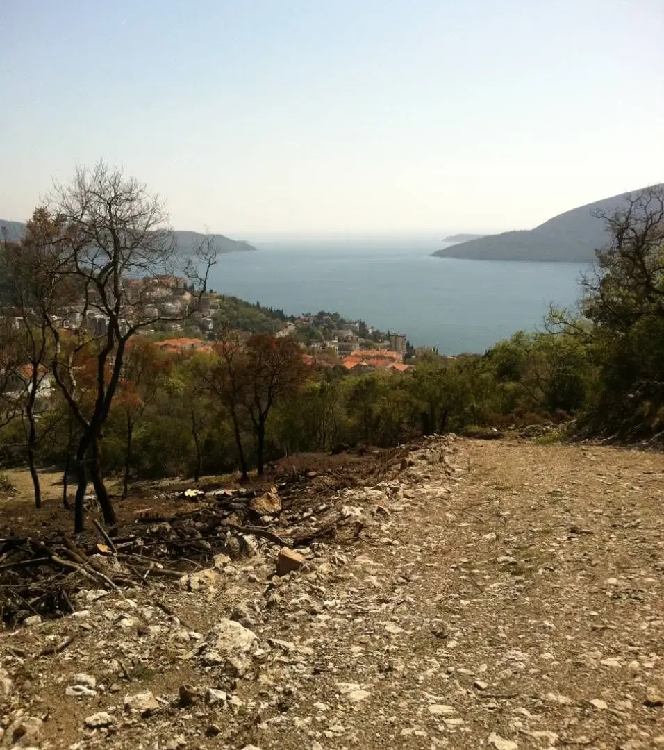 Prodaja, plac, 26826m², Herceg Novi, Crna Gora