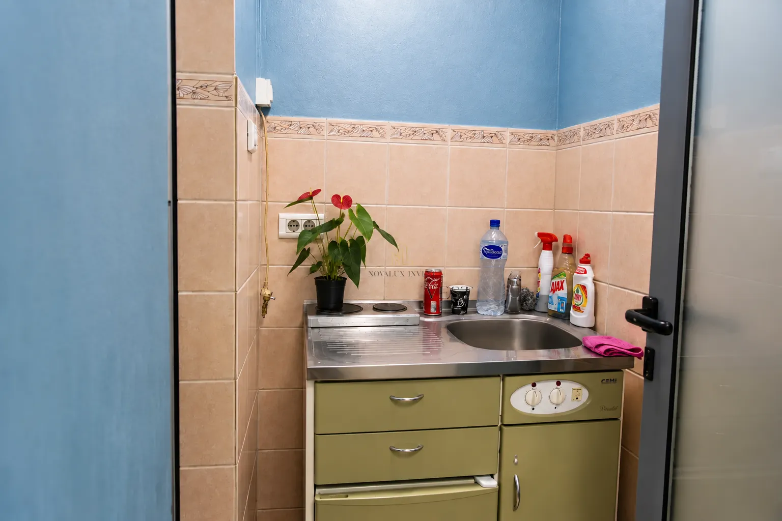 Small kitchenette with a sink, built-in cooktop, and cleaning supplies.