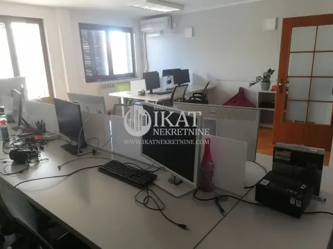 Izdavanje, kuća, 540m², Zvezdara Sve Podlokacije, Beograd - image 5