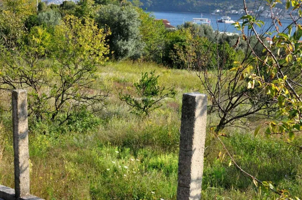 Zarasli plac sa voćkama i pogledom na more.