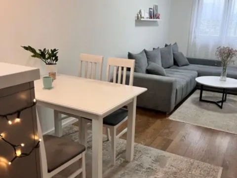 Izdavanje, jednosoban stan, 45m², Pobrežje, Podgorica - image 5