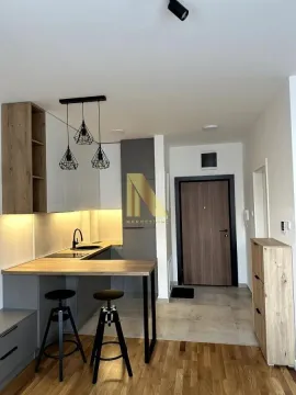 Rent, studio apartment, 26m², Dudova Šuma, Subotica - image 4