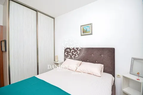 Rent, one bedroom apartment, 59m², Central Point, Podgorica - image 804