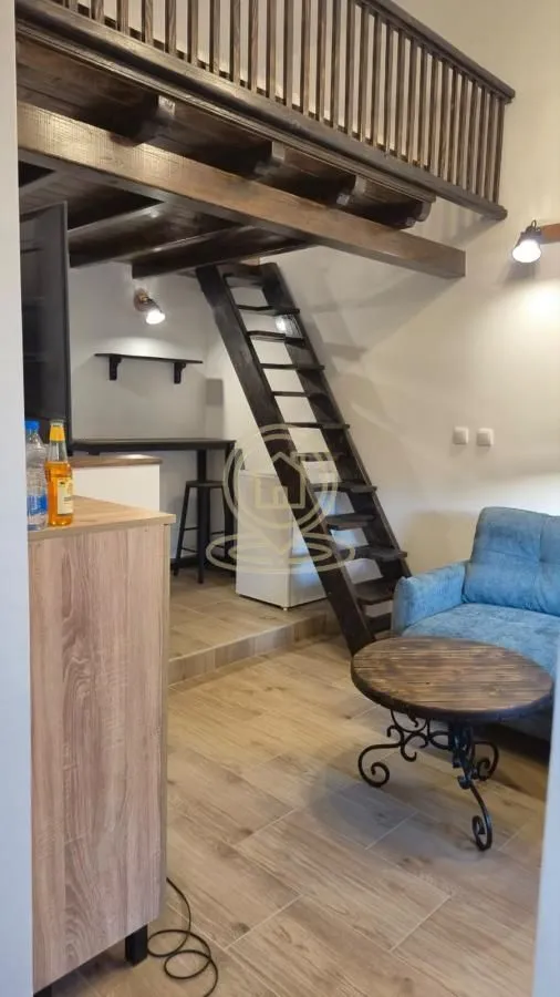 Rent, studio apartment, 20m², Centar, Novi Sad