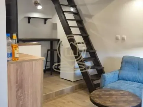 Rent, studio apartment, 20m², Centar, Novi Sad - image 2