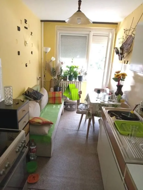 Rent, one bedroom apartment, 43m², Palilula, Niš