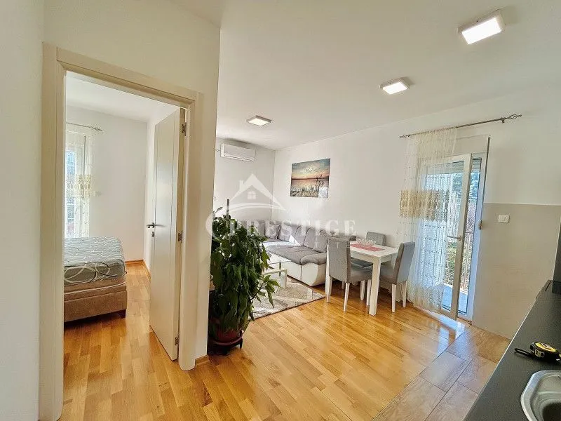 Rent, one bedroom apartment, 50m², Zagorič, Podgorica