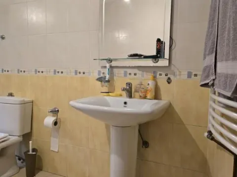 Rent, house, 250m², Sajmište, Novi Sad - image 42