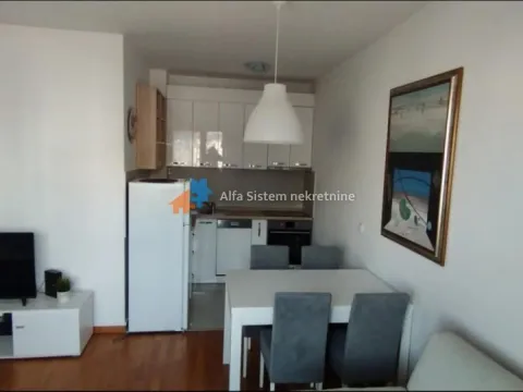 Rent, two bedroom apartment, 55m², Vračar Sve Podlokacije, Beograd - image 7