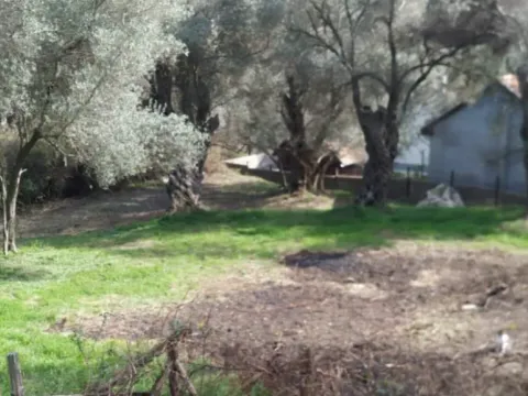 Prodaja, plac, 1057m², Kruče, Ulcinj - image 4