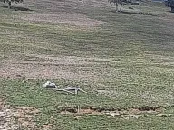 Sale, land lot, 9000m², Lepenac, Mojkovac - image 2