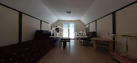 Dnevna soba sa kosim plafonom, kaučem i garniturom za sedenje. - image 11