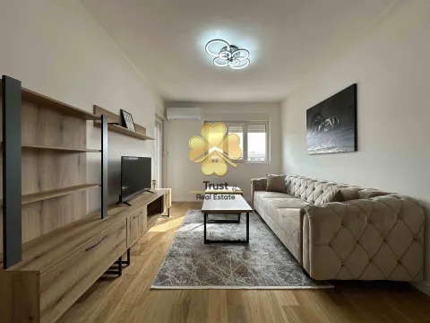 Izdavanje, jednosoban stan, 50m², Central Point, Podgorica